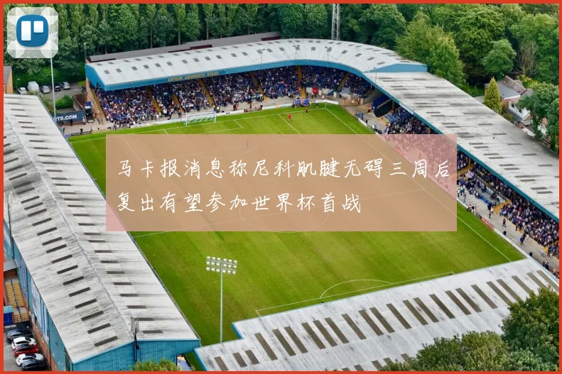 马卡报消息称尼科肌腱无碍三周后复出有望参加世界杯首战